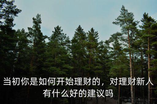 當(dāng)初你是如何開(kāi)始理財(cái)?shù)?，?duì)理財(cái)新人有什么好的建議嗎