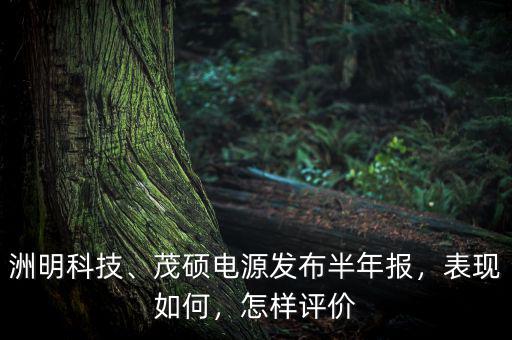 洲明科技、茂碩電源發(fā)布半年報(bào)，表現(xiàn)如何，怎樣評(píng)價(jià)