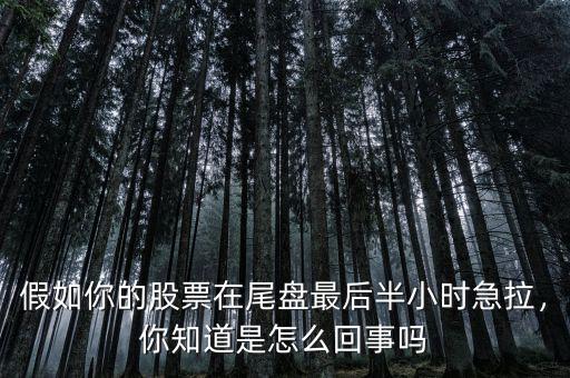 假如你的股票在尾盤最后半小時(shí)急拉，你知道是怎么回事嗎
