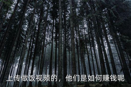 上傳做飯視頻的，他們是如何賺錢呢
