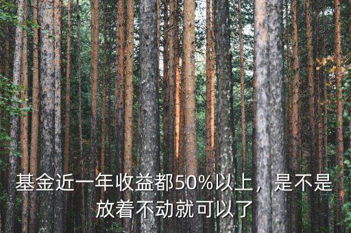基金近一年收益都50%以上，是不是放著不動就可以了