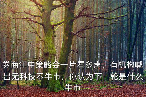 券商年中策略會(huì)一片看多聲，有機(jī)構(gòu)喊出無科技不牛市，你認(rèn)為下一輪是什么牛市