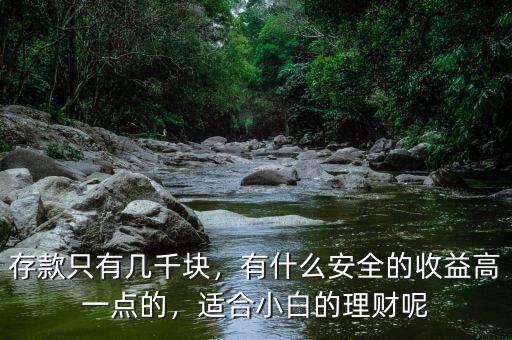 存款只有幾千塊，有什么安全的收益高一點(diǎn)的，適合小白的理財(cái)呢