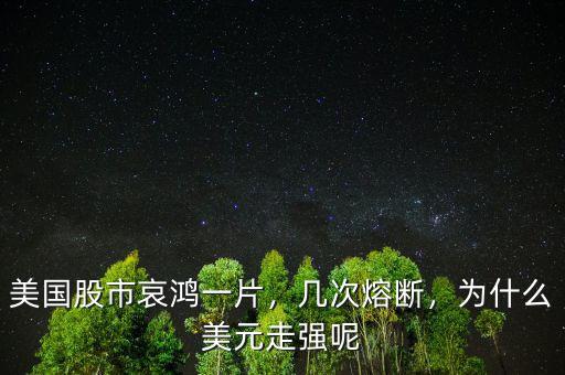 美國(guó)股市哀鴻一片，幾次熔斷，為什么美元走強(qiáng)呢
