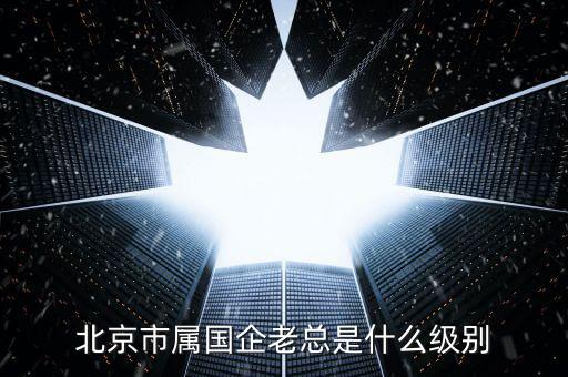 北京市屬?lài)?guó)企老總是什么級(jí)別