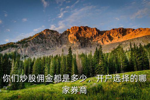 你們炒股傭金都是多少，開戶選擇的哪家券商