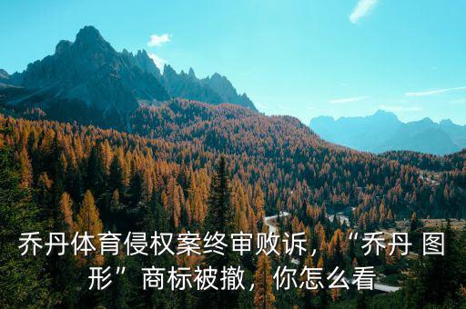 喬丹體育侵權(quán)案終審敗訴，“喬丹 圖形”商標被撤，你怎么看