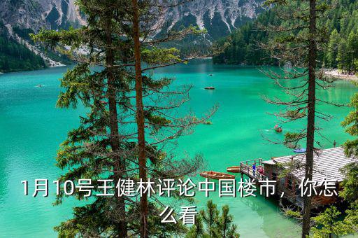 1月10號王健林評論中國樓市，你怎么看
