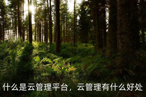 什么是云管理平臺(tái)，云管理有什么好處