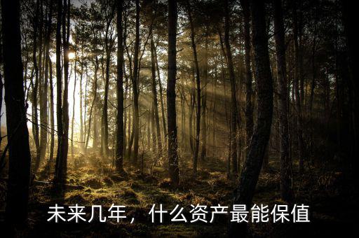 未來幾年，什么資產(chǎn)最能保值