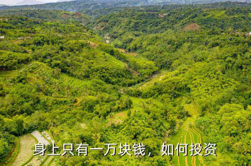 身上只有一萬塊錢，如何投資