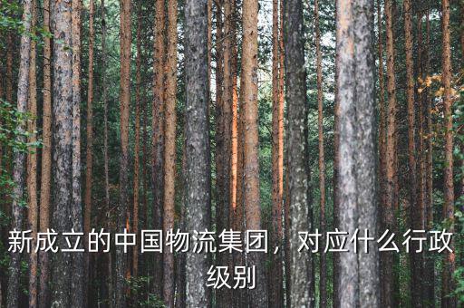新成立的中國(guó)物流集團(tuán)，對(duì)應(yīng)什么行政級(jí)別