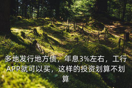 多地發(fā)行地方債，年息3%左右，工行APP就可以買，這樣的投資劃算不劃算