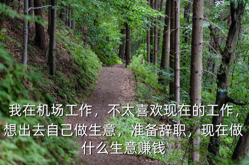 我在機(jī)場(chǎng)工作，不太喜歡現(xiàn)在的工作，想出去自己做生意，準(zhǔn)備辭職，現(xiàn)在做什么生意賺錢(qián)