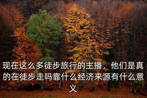 現(xiàn)在這么多徒步旅行的主播，他們是真的在徒步走嗎靠什么經(jīng)濟來源有什么意義