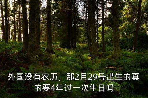 外國沒有農歷，那2月29號出生的真的要4年過一次生日嗎