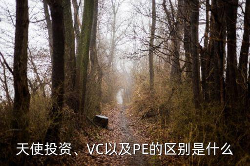 天使投資、VC以及PE的區(qū)別是什么