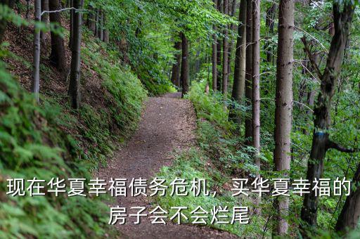 現(xiàn)在華夏幸福債務危機，買華夏幸福的房子會不會爛尾
