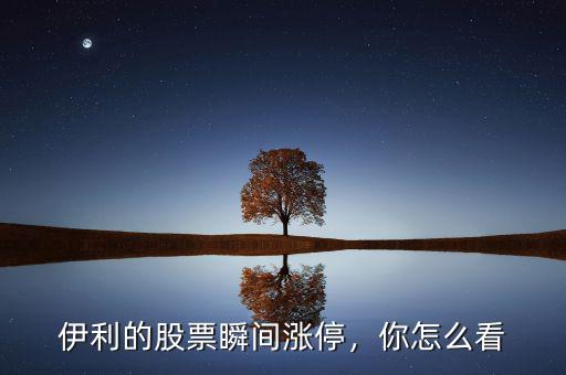 伊利的股票瞬間漲停，你怎么看