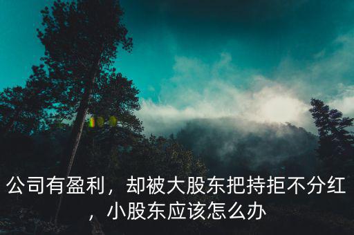 公司有盈利，卻被大股東把持拒不分紅，小股東應(yīng)該怎么辦