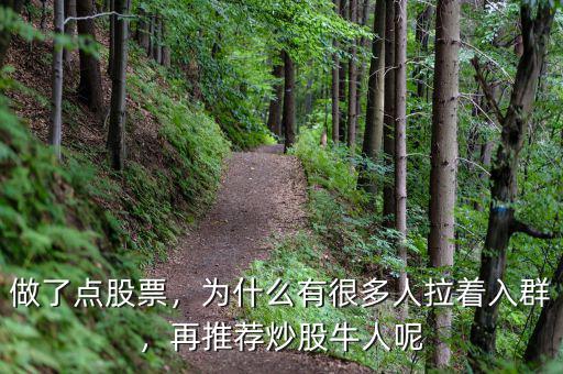 做了點(diǎn)股票，為什么有很多人拉著入群，再推薦炒股牛人呢