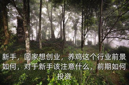 新手，回家想創(chuàng)業(yè)，養(yǎng)雞這個(gè)行業(yè)前景如何，對于新手該注意什么，前期如何投資
