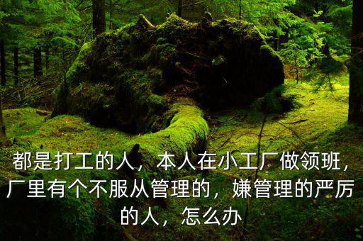 都是打工的人，本人在小工廠做領(lǐng)班，廠里有個(gè)不服從管理的，嫌管理的嚴(yán)厲的人，怎么辦