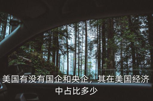 美國(guó)有沒有國(guó)企和央企，其在美國(guó)經(jīng)濟(jì)中占比多少