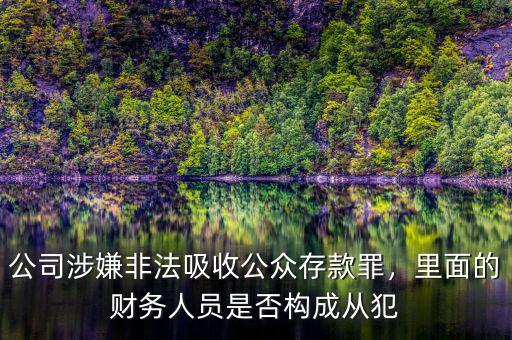 公司涉嫌非法吸收公眾存款罪，里面的財(cái)務(wù)人員是否構(gòu)成從犯
