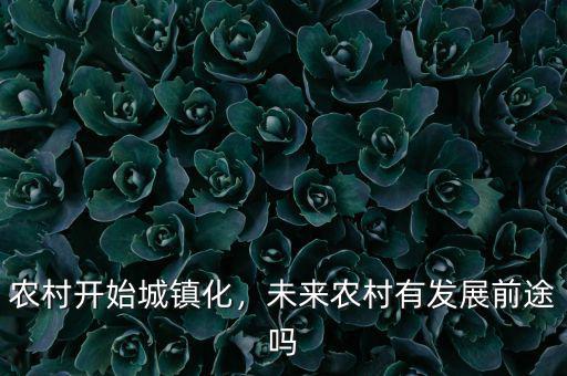 農(nóng)村開始城鎮(zhèn)化，未來農(nóng)村有發(fā)展前途嗎