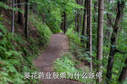 上?？ㄋ帢I(yè)處方賺多少錢(qián),在上海投資開(kāi)藥店要多少錢(qián)