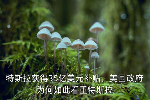 特斯拉獲得35億美元補(bǔ)貼，美國政府為何如此看重特斯拉