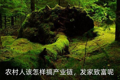 農(nóng)村人該怎樣搞產(chǎn)業(yè)鏈，發(fā)家致富呢