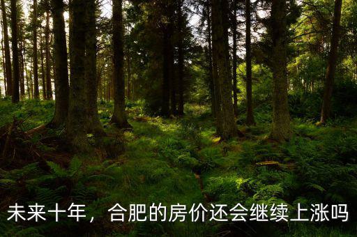 未來十年，合肥的房?jī)r(jià)還會(huì)繼續(xù)上漲嗎