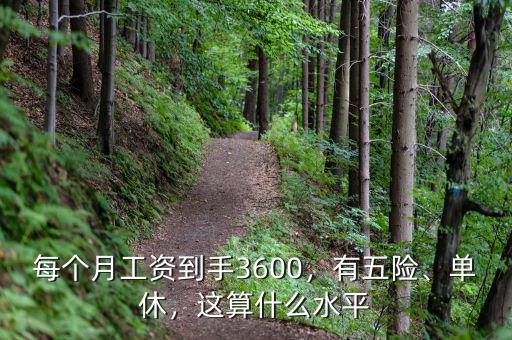 每個月工資到手3600，有五險、單休，這算什么水平