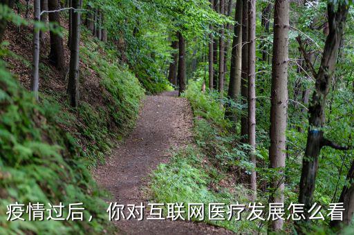 疫情過后，你對(duì)互聯(lián)網(wǎng)醫(yī)療發(fā)展怎么看