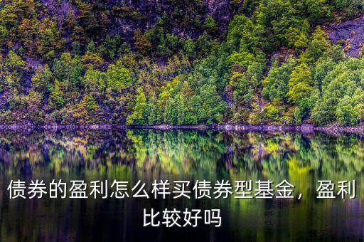 債券的盈利怎么樣買債券型基金，盈利比較好嗎