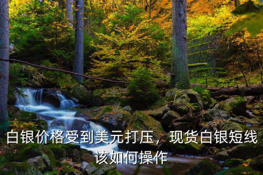 白銀價(jià)格受到美元打壓，現(xiàn)貨白銀短線該如何操作