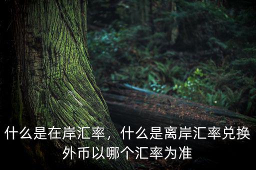 什么是在岸匯率，什么是離岸匯率兌換外幣以哪個匯率為準