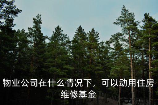 物業(yè)公司在什么情況下，可以動用住房維修基金