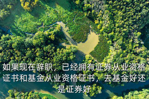 如果現(xiàn)在辭職，已經(jīng)擁有證券從業(yè)資格證書和基金從業(yè)資格證書，去基金好還是證券好