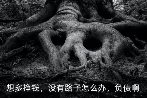 想多掙錢，沒有路子怎么辦，負(fù)債啊