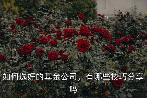 如何選好的基金公司，有哪些技巧分享嗎