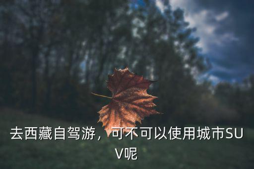 開(kāi)車去西藏沒(méi)油了怎么辦,為什么汽車去了一趟西藏