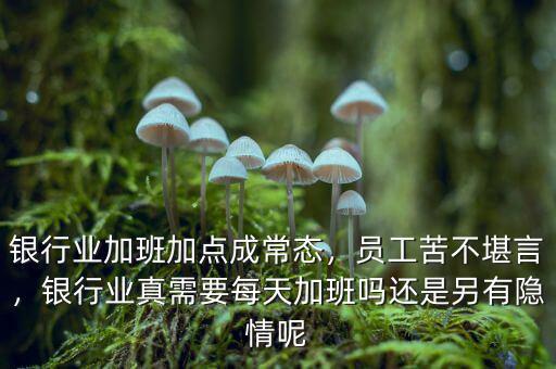銀行業(yè)加班加點成常態(tài)，員工苦不堪言，銀行業(yè)真需要每天加班嗎還是另有隱情呢