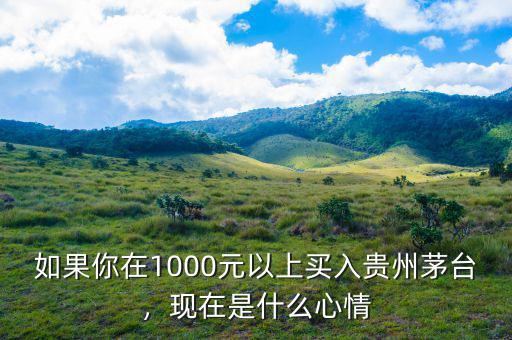 如果你在1000元以上買入貴州茅臺，現(xiàn)在是什么心情