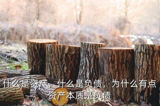 什么是資產(chǎn)，什么是負(fù)債，為什么有點資產(chǎn)本質(zhì)是負(fù)債
