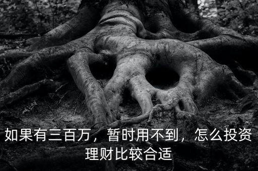 如果有三百萬，暫時用不到，怎么投資理財比較合適