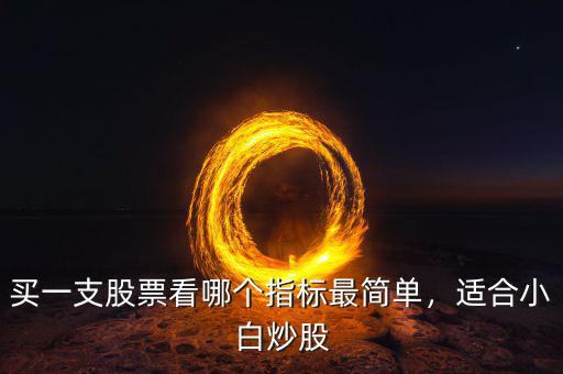 買(mǎi)了股票每天都看什么指標(biāo),買(mǎi)一支股票看哪個(gè)指標(biāo)最簡(jiǎn)單