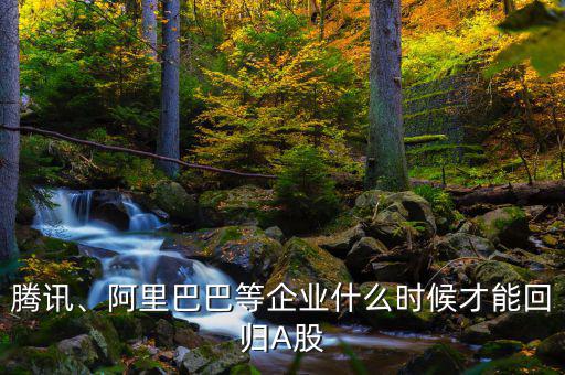 騰訊、阿里巴巴等企業(yè)什么時候才能回歸A股